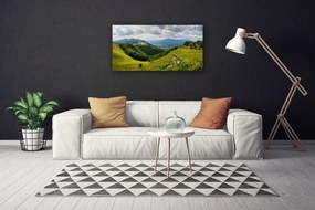 Obraz na plátne Hora lúka krajina 120x60 cm