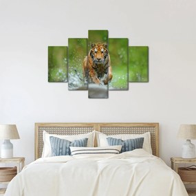 Obraz - Bežiaci tiger (150x105 cm)