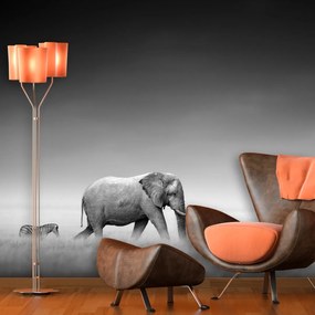 Sablio Tapeta Slon a zebra - 208x125 cm