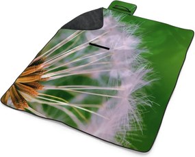 Sablio Plážová deka Odkvitnuté púpavy 3: 200x140 cm