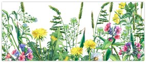 Obraz - Maľované lúčne kvety (120x50 cm)