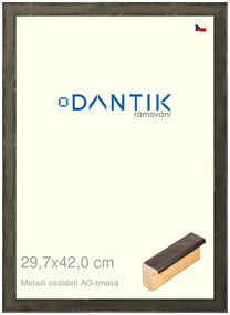 DANTIK rám na obraz 29,7x42 | Metalli oidati AG tmavá (Plexi Čiré)