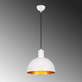 Sivani - MR-625
