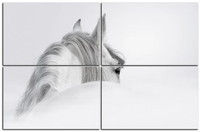 Obraz na plátne - Andalúzsky kôň v hmle 1219E (90x60 cm)