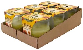 Petali Citronella vonná svíčka ve skle 6ks - hoření 25h