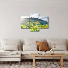 Obraz plantáže (90x60 cm)