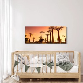 Obraz - Západ slnka v uličke Baobab (120x50 cm)