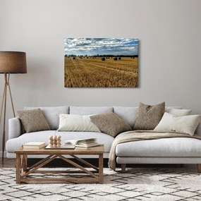 Obraz zozbieraného obilného poľa (90x60 cm)