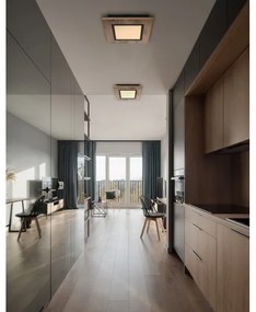 Globo 67292D2 - LED Stropné svietidlo LEA LED/12W/230V