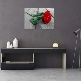 Obraz - Červená ruža so zelenou stonkou (70x50 cm)