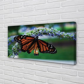 Obraz na plátne Motýľ na kvetine 120x60 cm