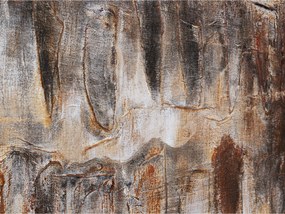 Shadows obraz hnedý 90x120 cm