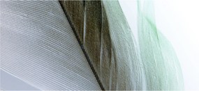 Obraz - Perie, makro (120x50 cm)