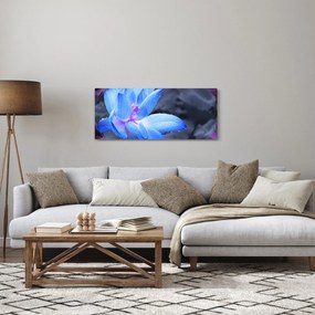 Obraz kvetu v detaile (120x50 cm)