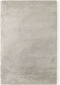 Huňatý koberec's vysokým vlasom Leighton