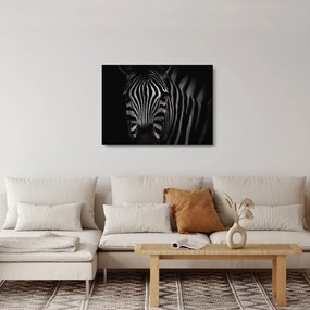 Sklenený obraz zebry (70x50 cm)