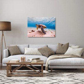 Sklenený obraz korytnačky v oceáne (70x50 cm)