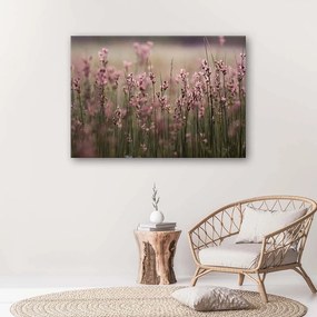 Gario Obraz na plátne Ružové poľné kvety Rozmery: 60 x 40 cm