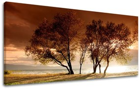 Obraz na stenu PANORÁMA STROMY | rôzne rozmery