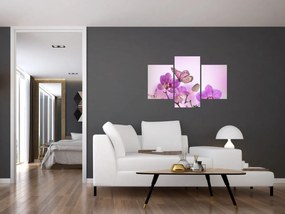 Obraz - Motýľ na kvetoch orchidey, lila (90x60 cm)
