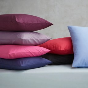 Perkálové obliečky na vankúše v súprave 2 ks 75x50 cm Easy Iron Percale – Catherine Lansfield