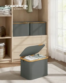 Kôš na bielizeň LCB516GN01