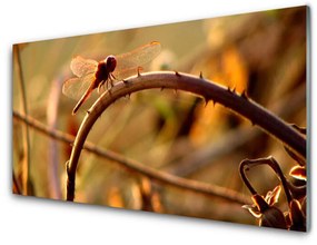 Obraz na skle Vážka príroda rastlina 140x70 cm