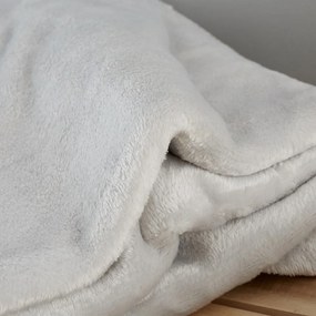 Svetlosivá deka z mikroplyšu 130x170 cm Raschel Velvet – Catherine Lansfield