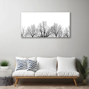 Obraz Canvas Stromy rastlina príroda 120x60 cm