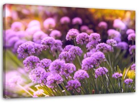 Obraz na plátně Polní květiny Fialová příroda - 100x70 cm