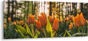 Obraz - oranžové tulipány (120x50 cm)