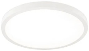 Orion - stmievateľné LED stropné svietidlo DISC LED/30W/230V 2700/3000/4000K pr. 40 cm biela