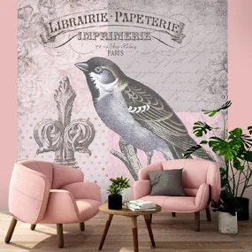 Gario Fototapeta Prírodný vták na ružovom pozadí - Andrea Haase Materiál: Vliesová, Rozmery: 200 x 200 cm