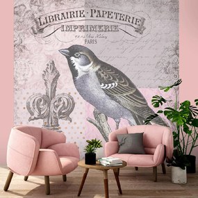 Gario Fototapeta Prírodný vták na ružovom pozadí - Andrea Haase Materiál: Vliesová, Rozmery: 250 x 250 cm