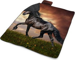 Sablio Plážová deka Frízky kôň: 200x140 cm