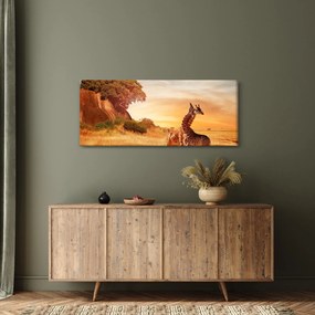 Obraz - Žirafy v Afrike (120x50 cm)