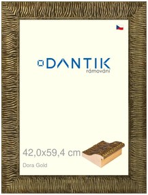 DANTIK rám na obraz 42x59,4 | Dora Gold (Plexi Čiré)