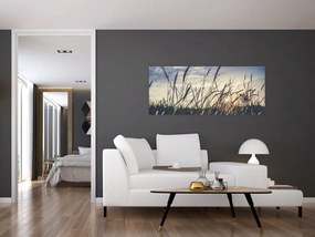 Obraz lúčnych kvetov (120x50 cm)