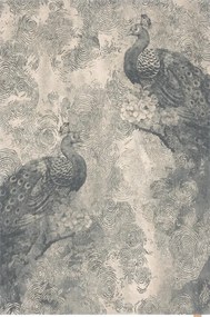 Koberec Agnella Regius Pavio popol