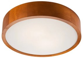 LED stropné svietidlo Lamkur LD-PD LED 6.2 28804