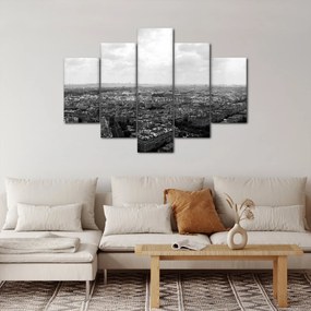 Obraz - Strechy domov v Paríži (150x105 cm)