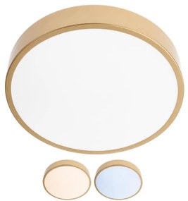 Redo 05-929 - LED Stropné svietidlo KNOB LED/24W/230V 3000K-6500K 30 cm zlatá UN0568