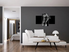 Obraz - Mužský akt (90x60 cm)