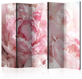 Artgeist Paraván - Sweet Peonies II [Room Dividers]