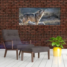 Obraz - Vyjúci vlk (120x50 cm)