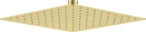 Deante Hlavová sprcha Cascada 250x250 mm - NAC R02K