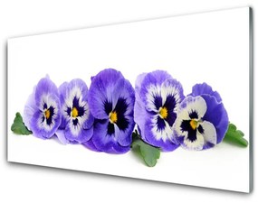 Skleneny obraz Plátky kvet sirôtky 125x50 cm