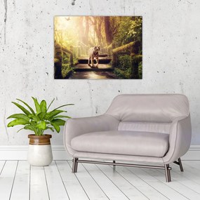 Obraz tigra (70x50 cm)