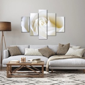 Obraz biele ruže (150x105 cm)