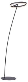 Paul Neuhaus 381-13 - LED Stmevateľná stojacia lampa TITUS LED/19,5W/230V
